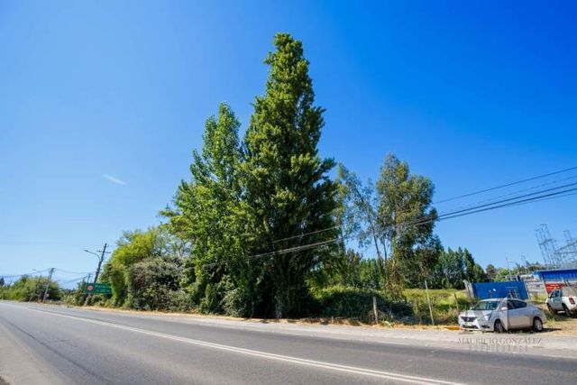 Terreno Ruta De La Fruta H-66, San Vicente de Tagua Tagua
