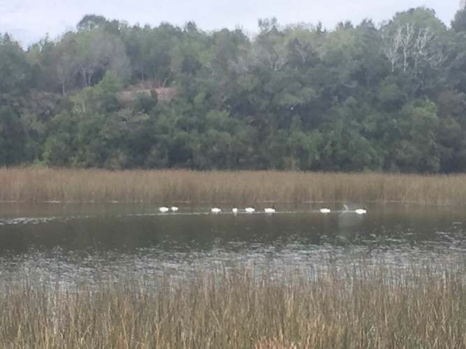 Terreno de 790m2 en Riberas de Estancilla, Valdivia