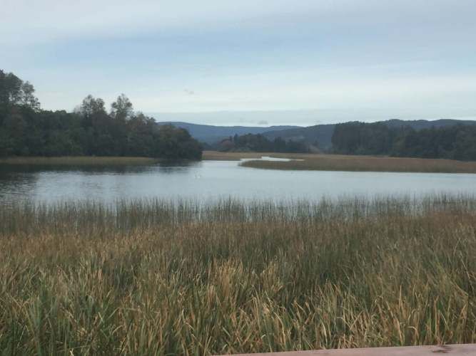 Terreno de 790m2 en Riberas de Estancilla, Valdivia