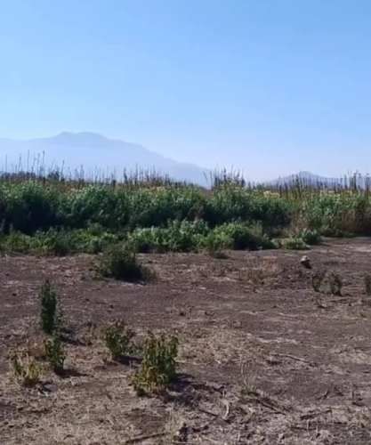 Parcela PUNTA DE CORTES