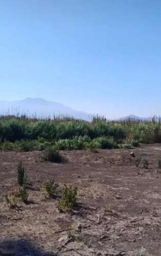 Parcela PUNTA DE CORTES