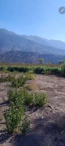 Parcela PUNTA DE CORTES