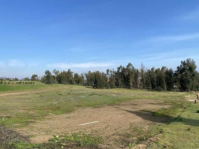 CONDOMINIO CAMPO VIEJO, MAITENCILLO