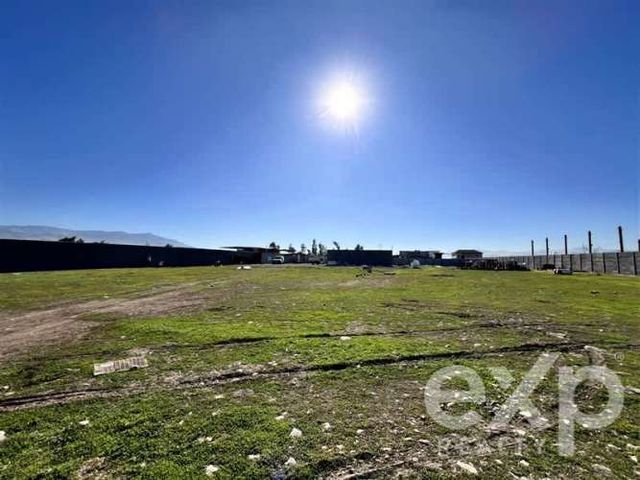 AGRICOLA Cacique Collin