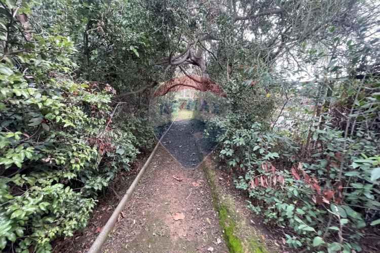 ¡tu paraíso en reñaca alto aguarda!