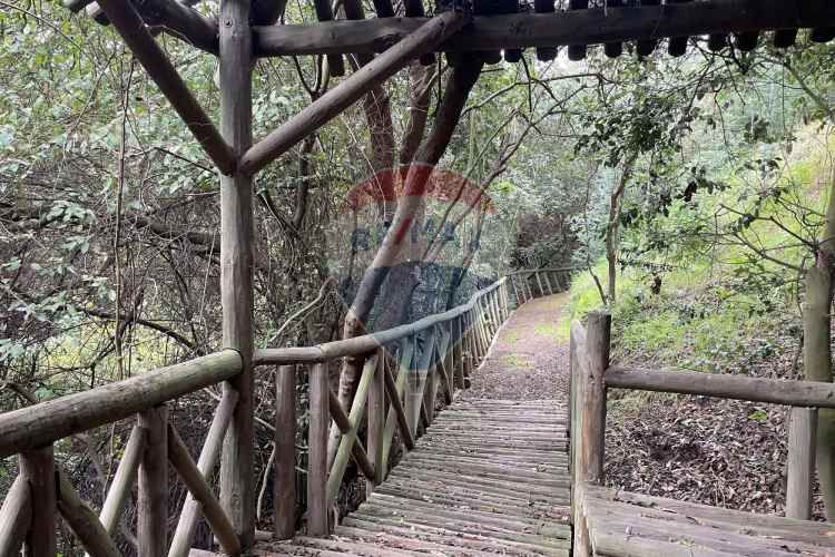 ¡tu paraíso en reñaca alto aguarda!