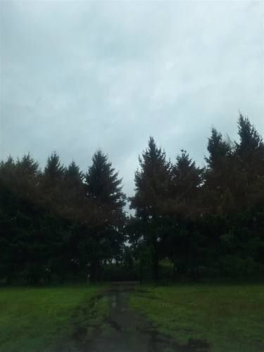 PARCELA Sector Los Maitenes, Human Los Angeles