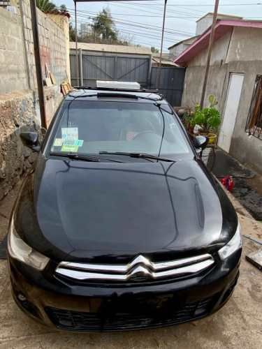 conductor de colectivo