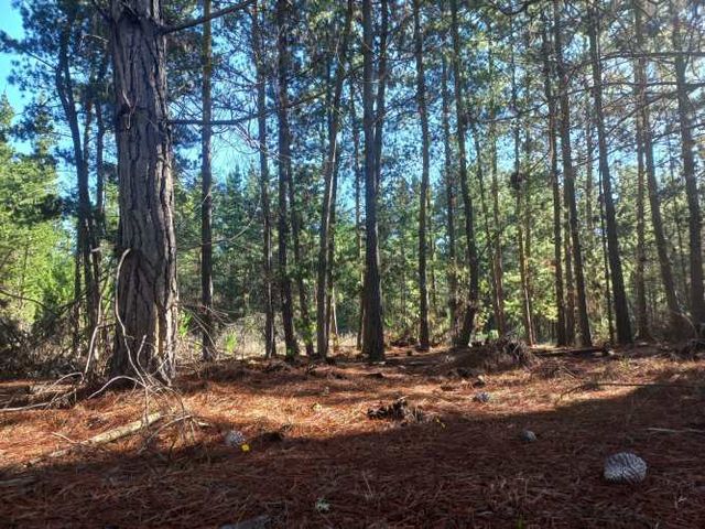 Parcela en Algarrobo con luz y agua