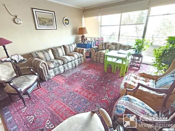 DEPARTAMENTO Av Alemania