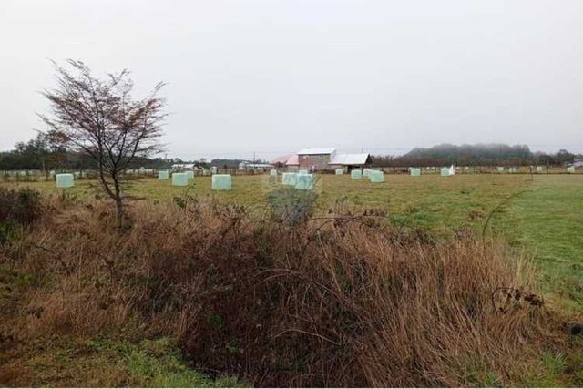 &quot;parcela de ensueño en puerto octay, chile&quot;