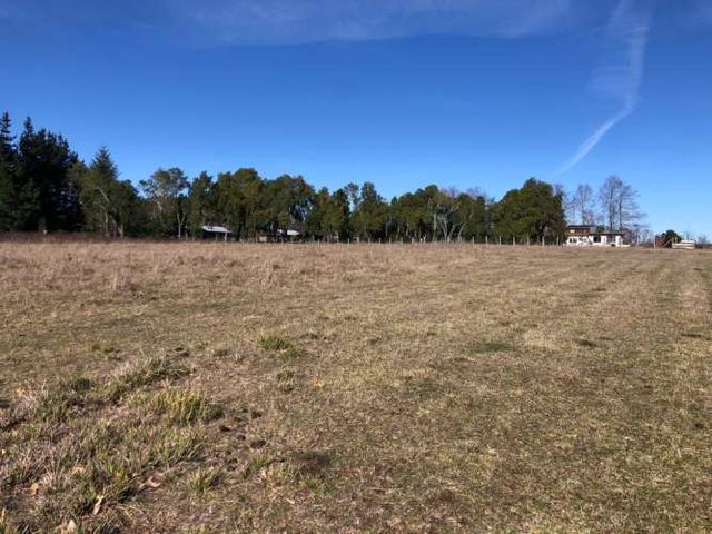 PARCELA DE 5000 A 11 KM DE VILLARRICA