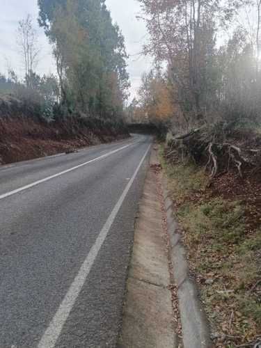 Excelente, 20 Ha, Camino Cunco, faja 10.000