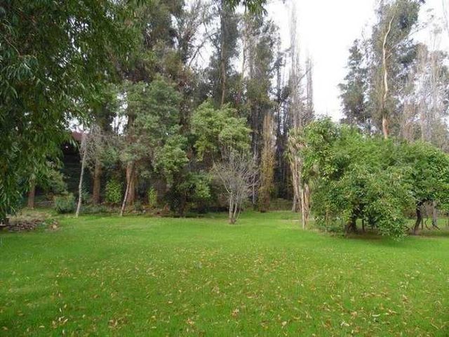 PARCELA Camino Las Palomas.