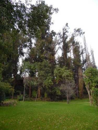 PARCELA Camino Las Palomas.