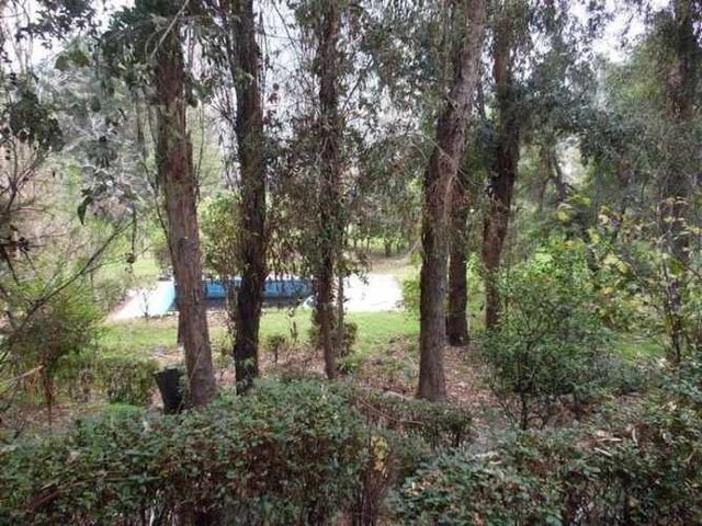 PARCELA Camino Las Palomas.