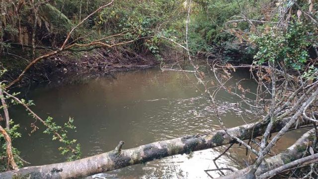 PARCELA LITRORO S/N LA COLONIA, LOS MUERMOS