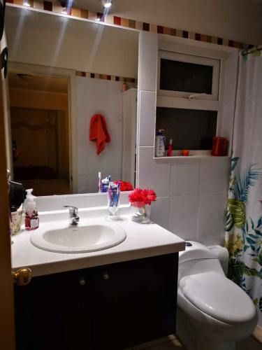 Sector Valle Volcanes con Quincho (103158)