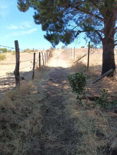 Se vende terreno de 9800m² en La Canchilla, Yumbel