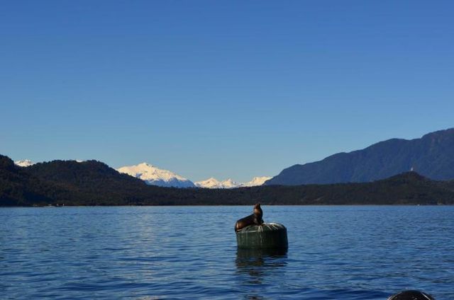 PRECIOSA ISLA (103206)