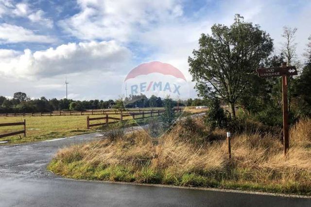 Vende 5.000 m2/cumbres de frutillar/con bosque