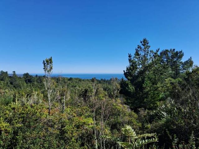 Parcelas San Ignacio Alto