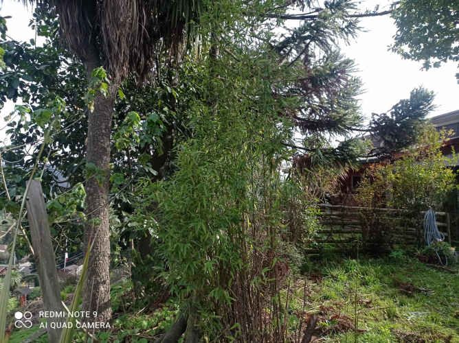 BUENA CASA MADERA UN PISO , EN MEJOR BARRIO PENCO