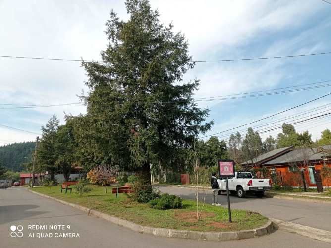 BUENA CASA MADERA UN PISO , EN MEJOR BARRIO PENCO