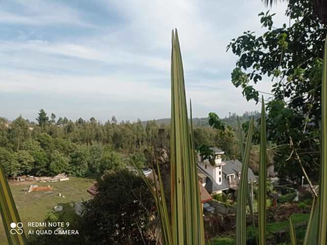 BUENA CASA MADERA UN PISO , EN MEJOR BARRIO PENCO