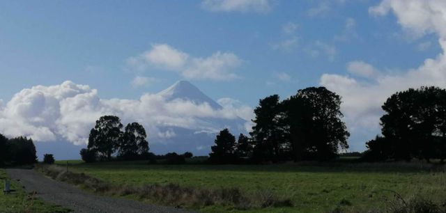 OPORTUNIDAD COMERCIAL (103534)