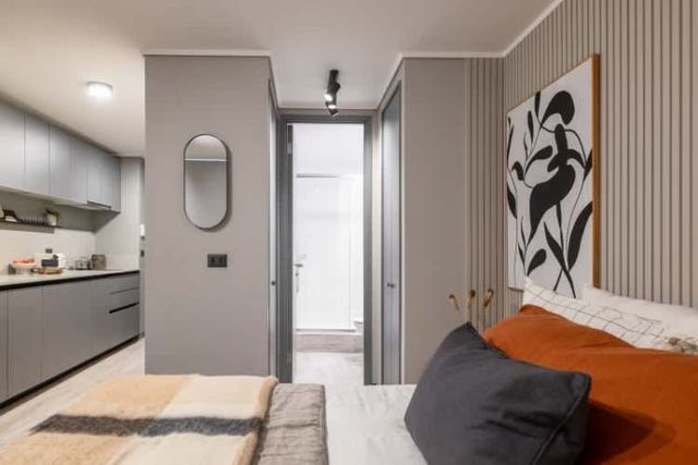 CARRERA IV ( estudio )