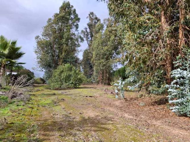 Terreno de 1210m2 condominio La Penísula, El Manzano, Lago Rapel