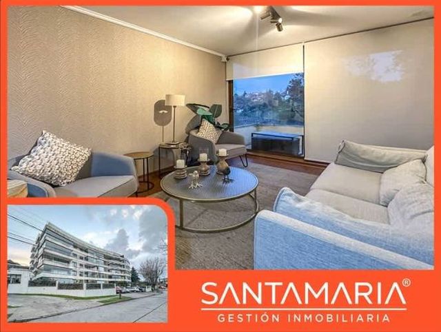 DEPARTAMENTO Lomas de San Andrés, Concepción