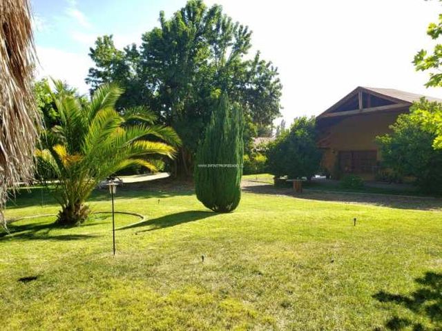 Parcela mostazal 5000m2 construcción excelente y de calidad