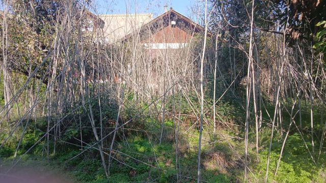 Atencion OPORTUNIDAD Inversionistas