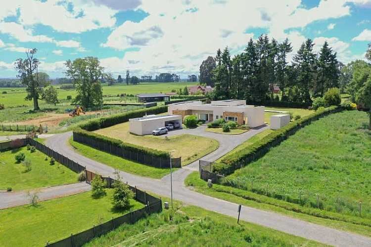 PILAUCO SCHWALM, OSORNO