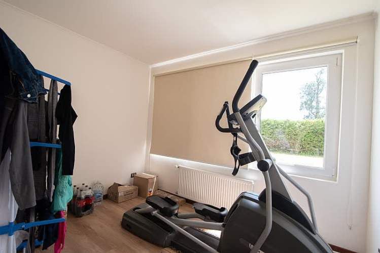 PILAUCO SCHWALM, OSORNO