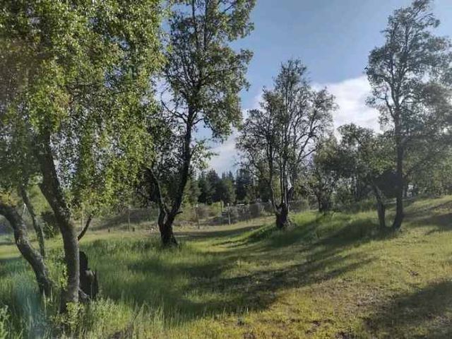 Se vende media hectárea en Yumbel