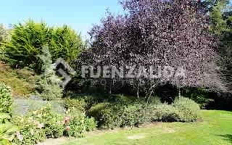 CASA Playa Nicklicheck