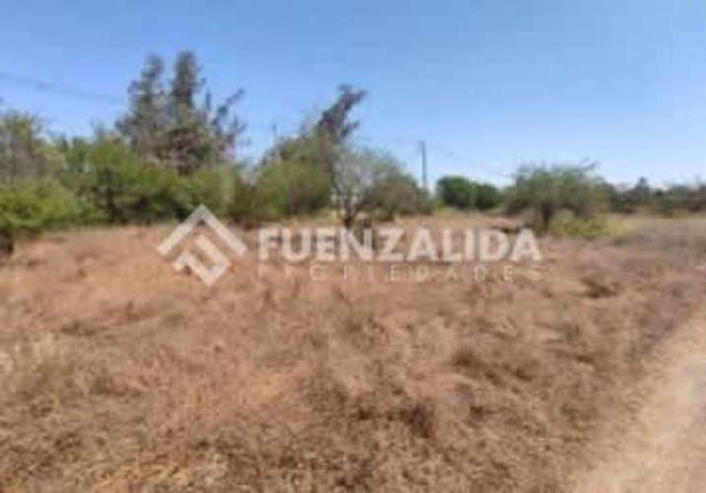 SITIO Algarrobo Chicureo