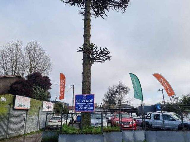 Terreno en Av Pedro Montt valdivia