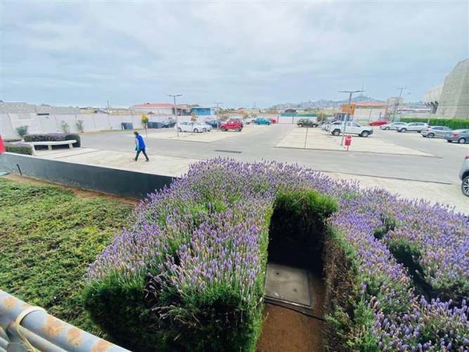 DEPARTAMENTO El Llano, Coquimbo.