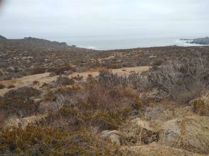 SITIO Est El Arrayan Costero