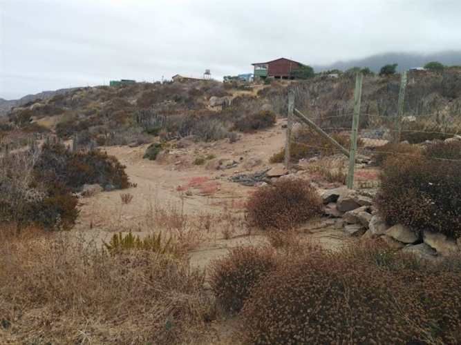 SITIO Est El Arrayan Costero