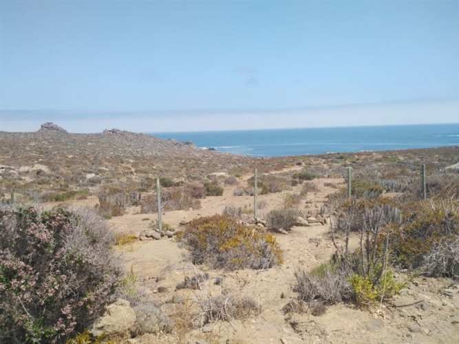 SITIO Est El Arrayan Costero