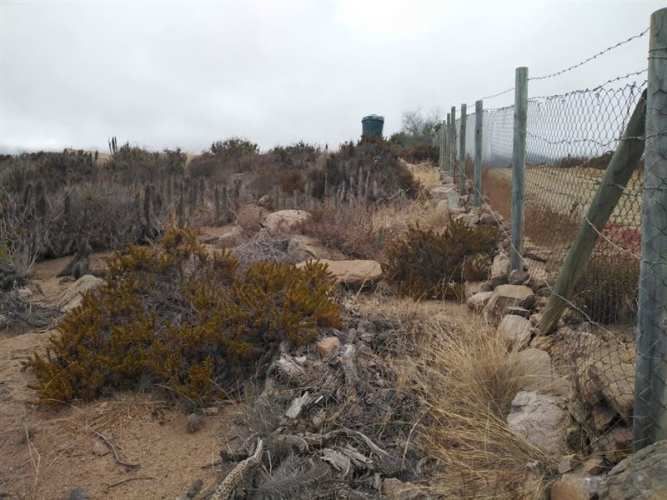 SITIO Est El Arrayan Costero