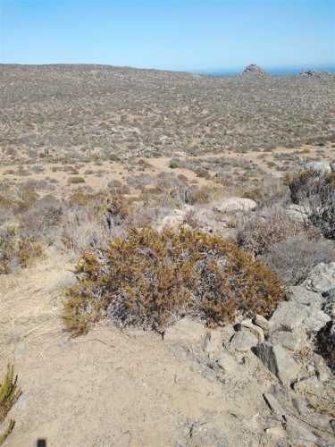 SITIO Est El Arrayan Costero