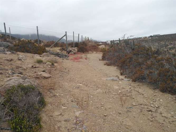 SITIO Est El Arrayan Costero