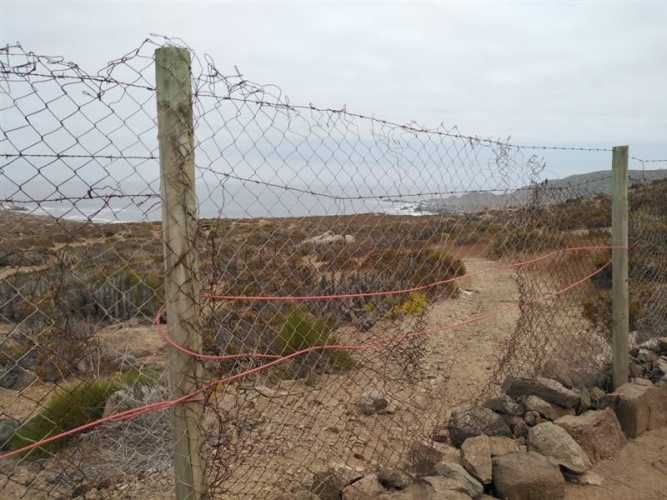 SITIO Est El Arrayan Costero