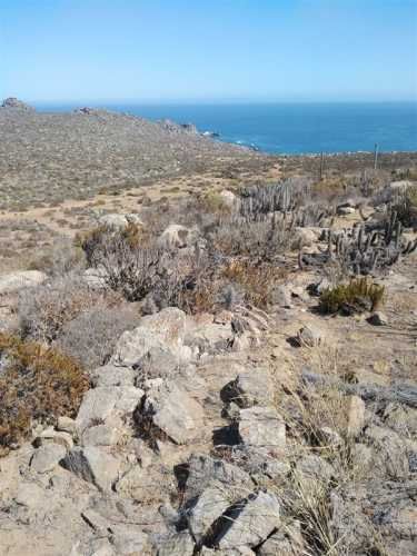 SITIO Est El Arrayan Costero